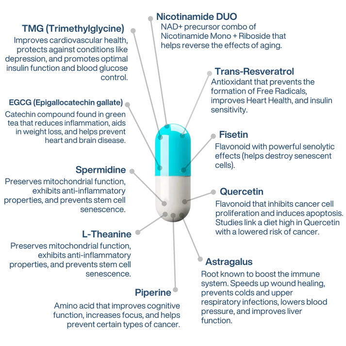 Perpetua AEON Longevity Complex 60
